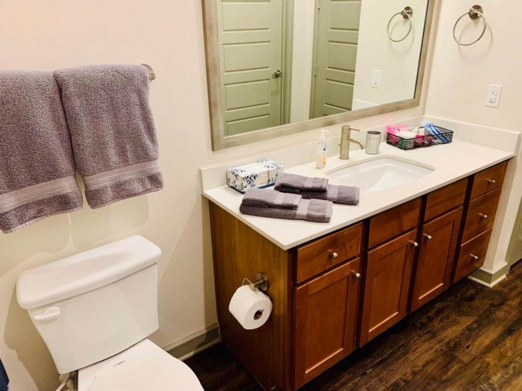 Downtown Apt Free Parking - Pool - Gym - Fully Kitchen Houston Esterno foto