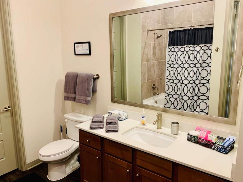 Downtown Apt Free Parking - Pool - Gym - Fully Kitchen Houston Esterno foto